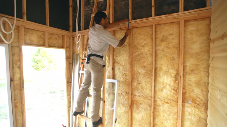 Best Insulation for New Construction  in Wauchula, FL